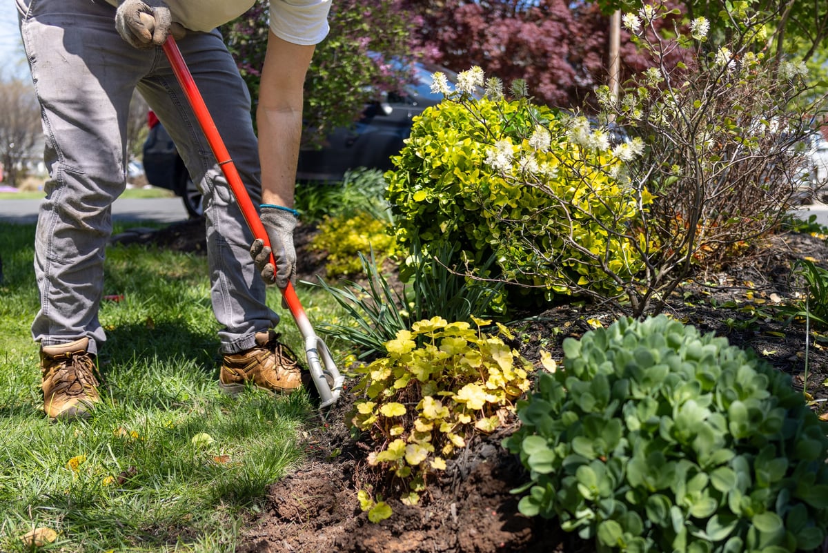 Professional landscaper preparing flower bed